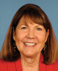 Ann Kirkpatrick